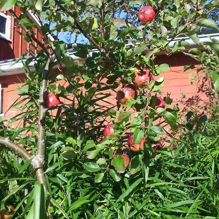 Ueues Meeklik Hues Appartement Risum-Lindholm